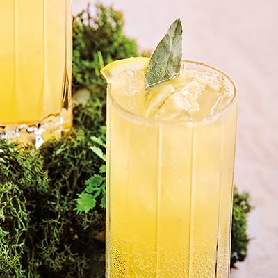 Midas Sip