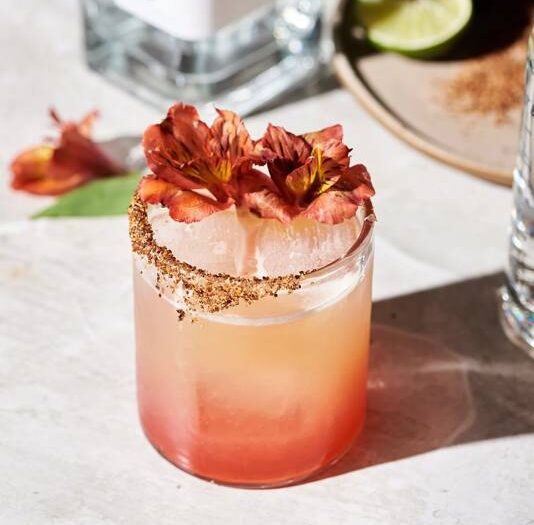 Paloma